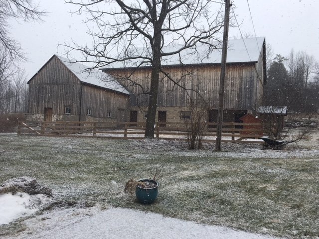 Valensbrae-Sheep-Barn