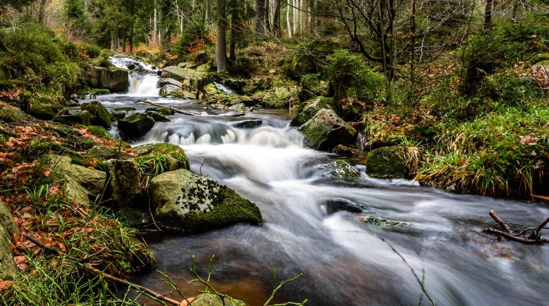 creek, water flow