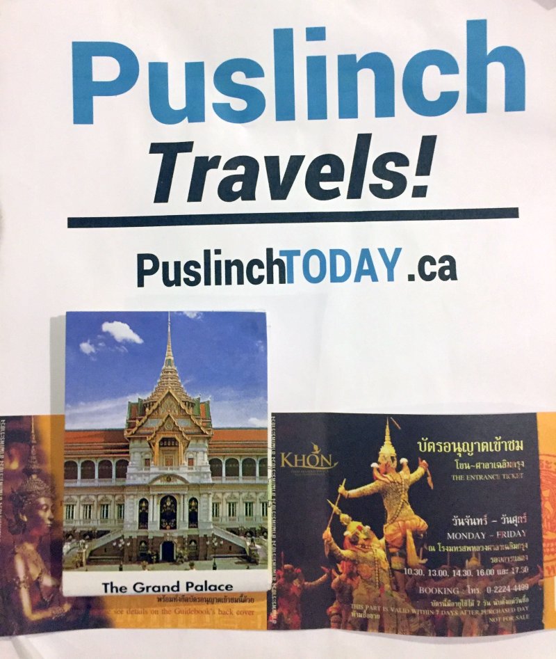 puslnich travels